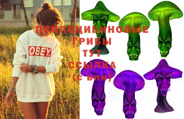 ешки Липки